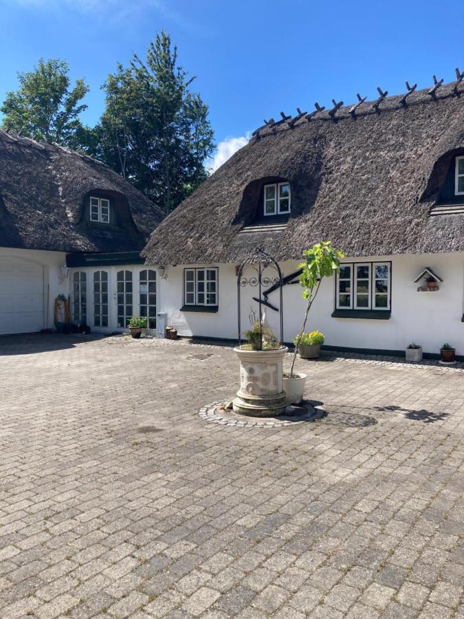 Skovlyset'S B&B Juelsminde  Εξωτερικό φωτογραφία
