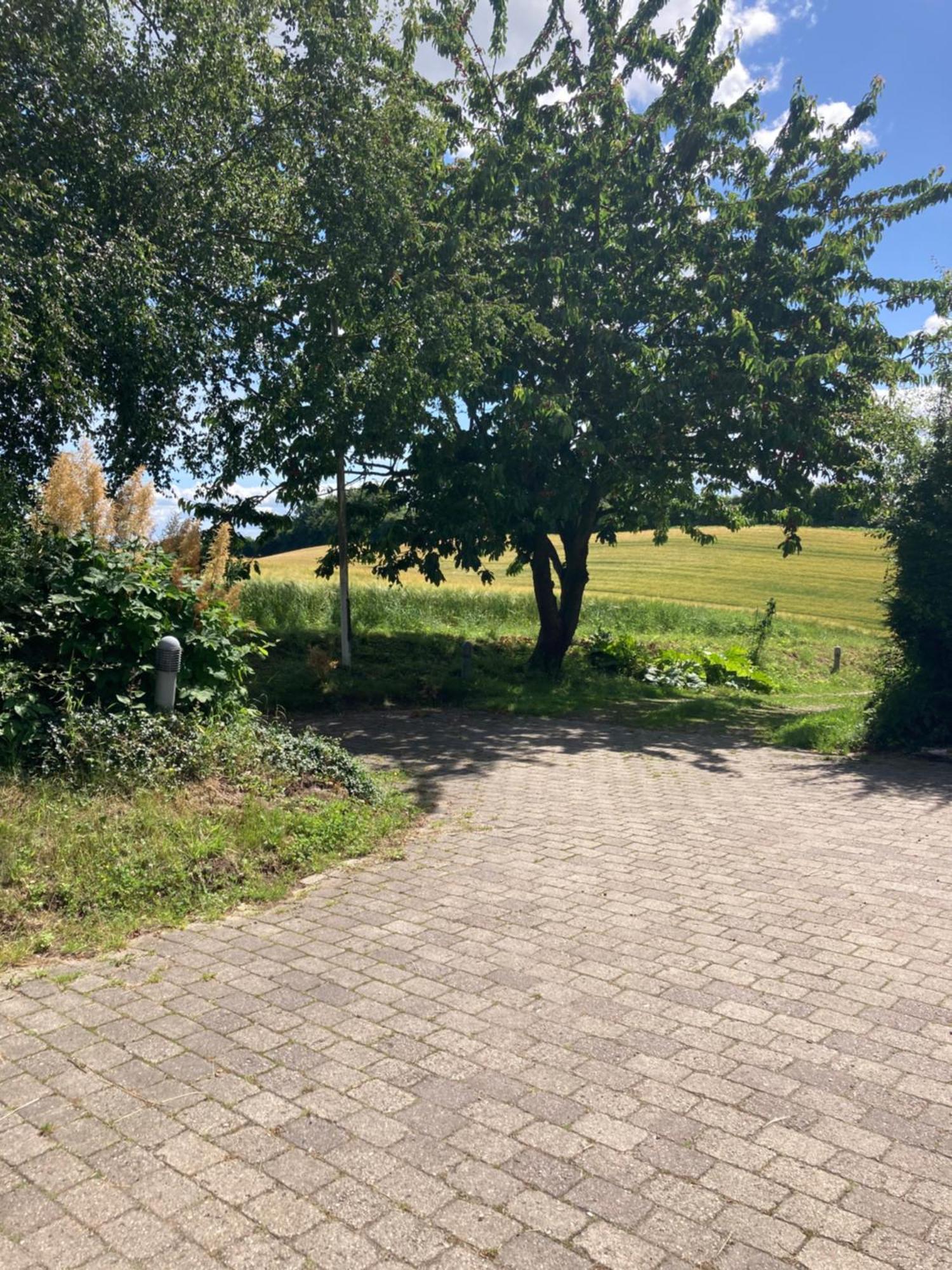 Skovlyset'S B&B Juelsminde  Εξωτερικό φωτογραφία
